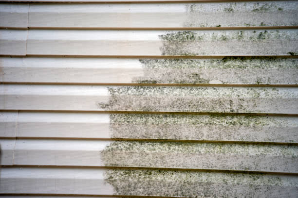 Best Yard Waste Removal  in Glenwood, IL